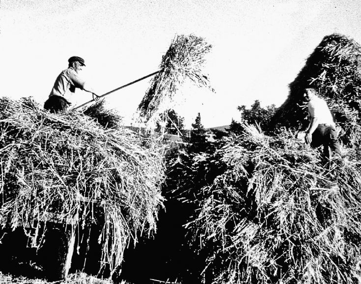 201 Mr Thomson and son Easterbuchat 
