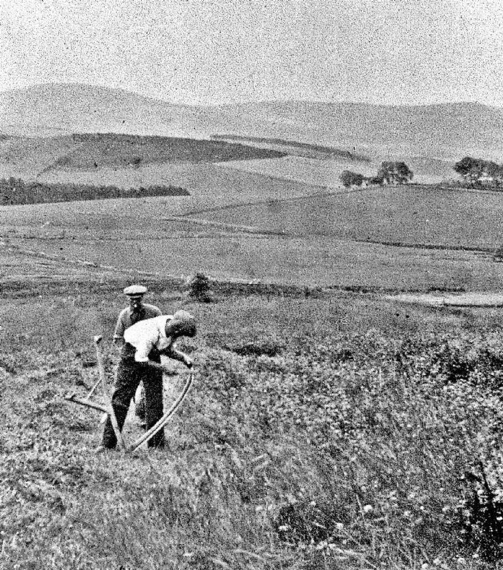 217 Cutting Hay at Craighead Glenbucat