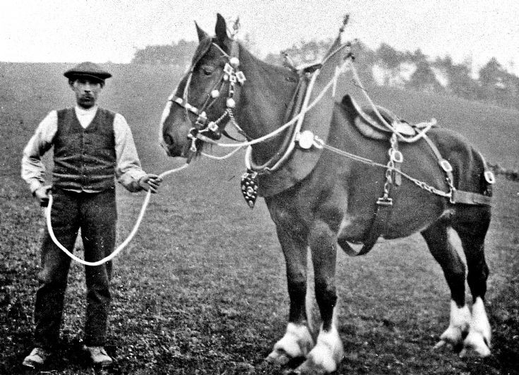 227 Mr Thomson Belnaglack Farm Glernbuchat