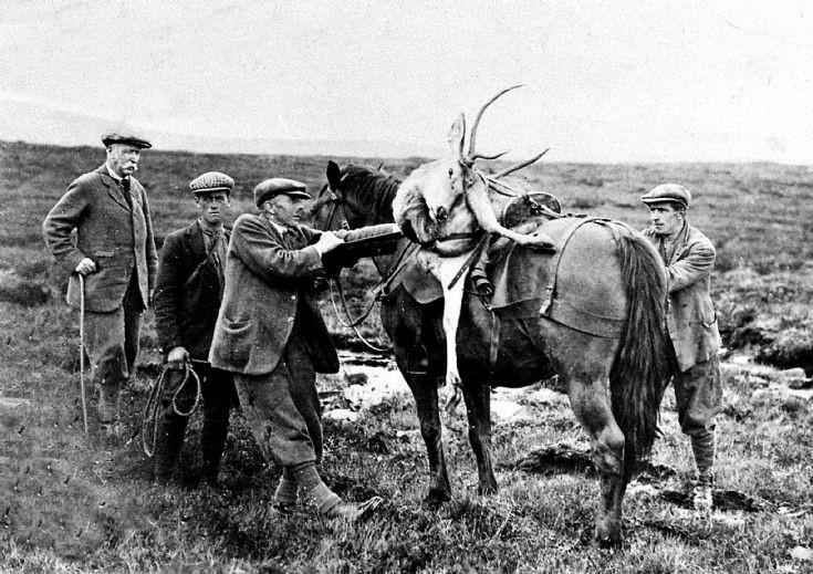 251 Stalking Glenbuchat. Col. Milne on left. 1930s