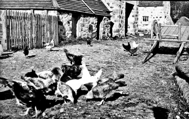 12 Starthdon Slides - Unidentified Farmyard
