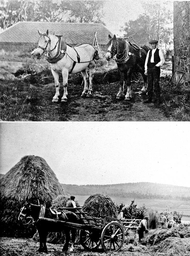 17 Strathdon Slides - Farm Life