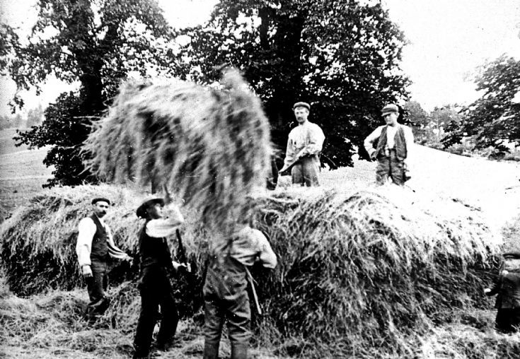 23 Strathdon Slides - Hay making Unidentified