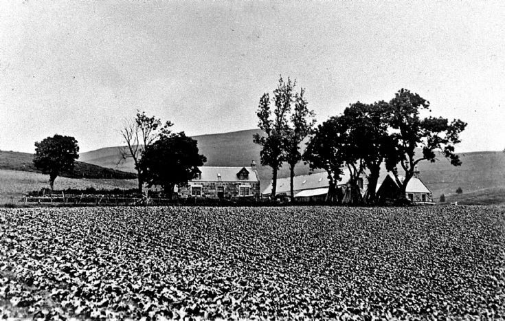34 Strathdon Slides - Blackhillock Farm