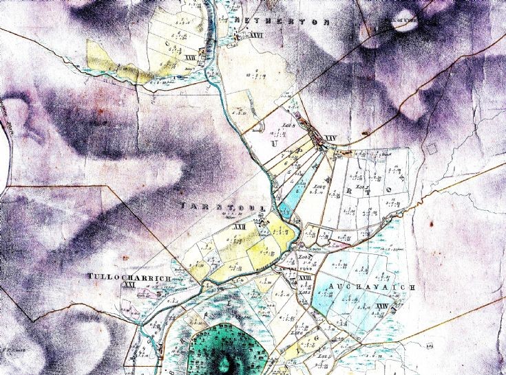 10 Sect 4 Netherton & Upperton Estate Map 1864