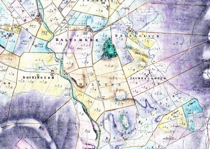 14 Sect 6 Maltimore & Milton - Estate Map 1864