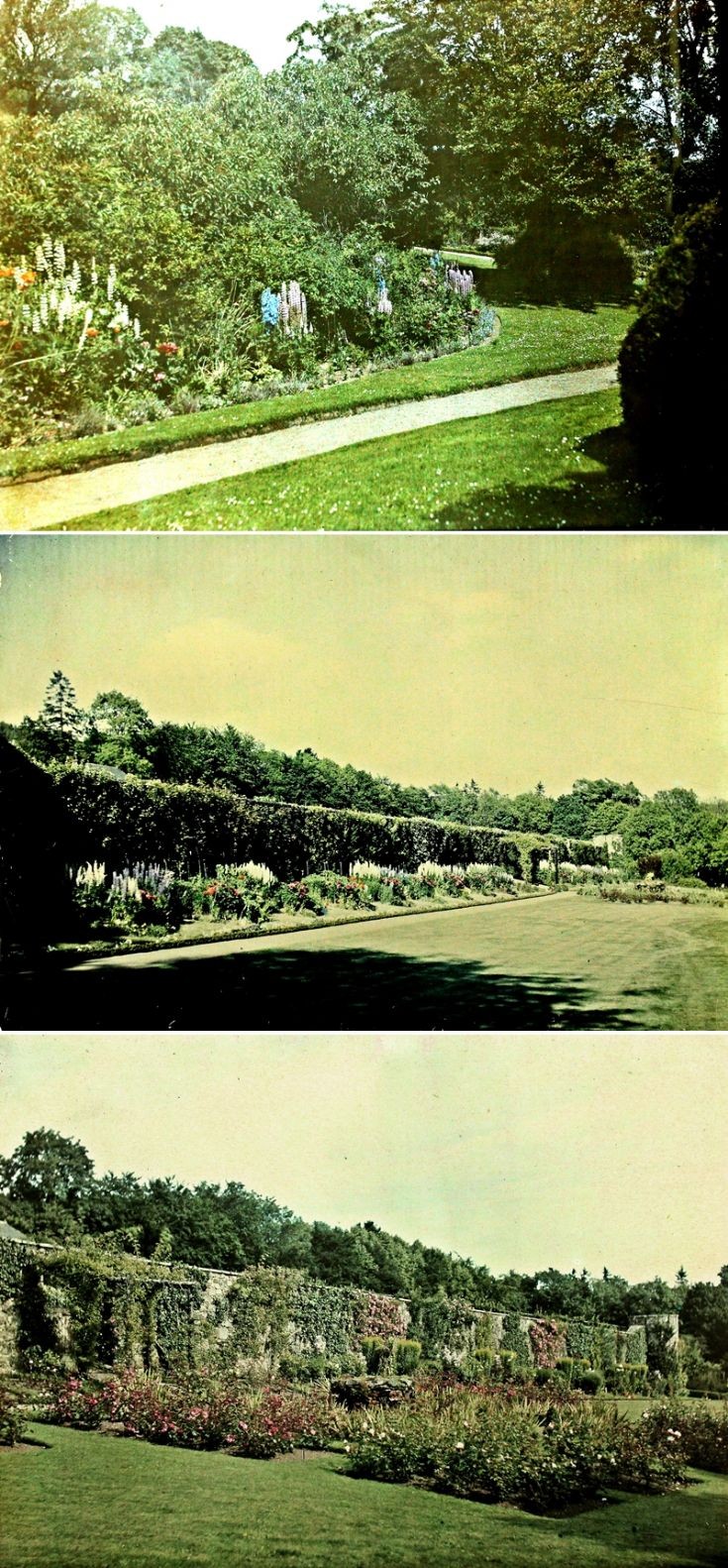 15 Castle Newe Gardens c 1910