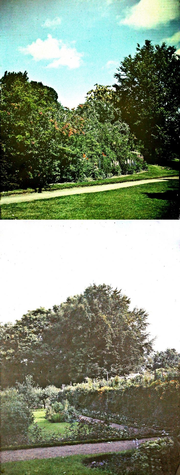 16 Castle Newe Garden c 1910