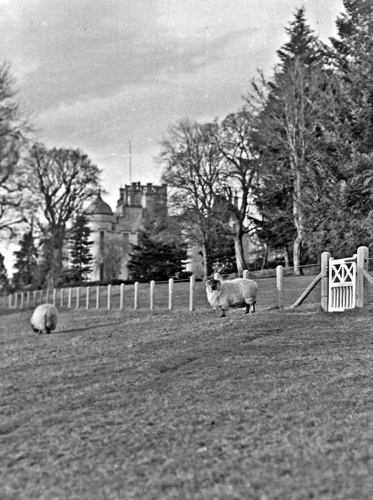 29 Castle Newe c 1910