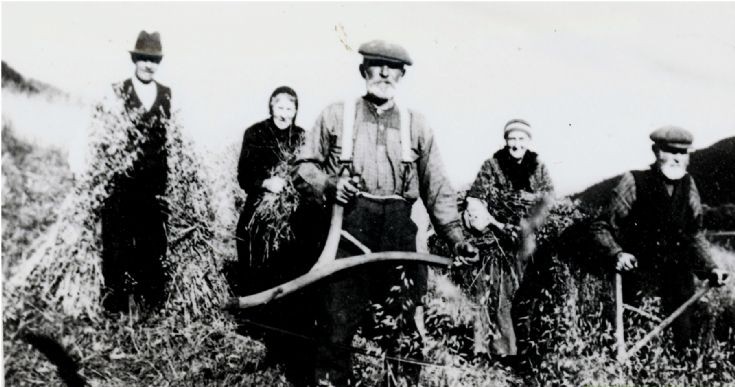 24 Harvest