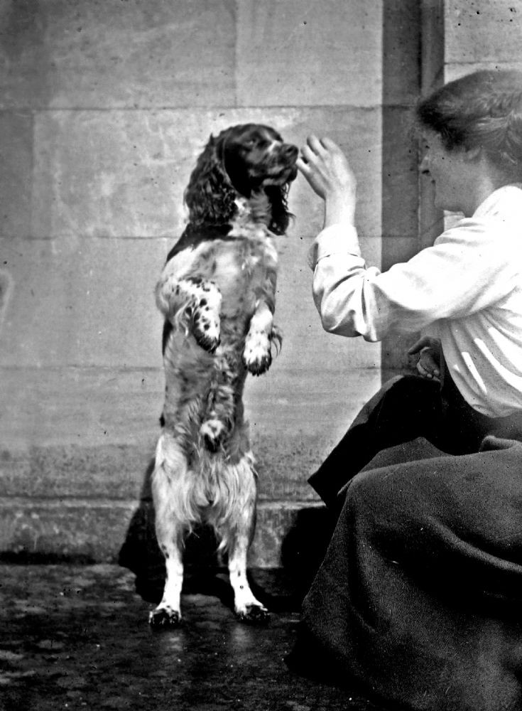 54 Forbes Daughter and dog at Catsle Newe