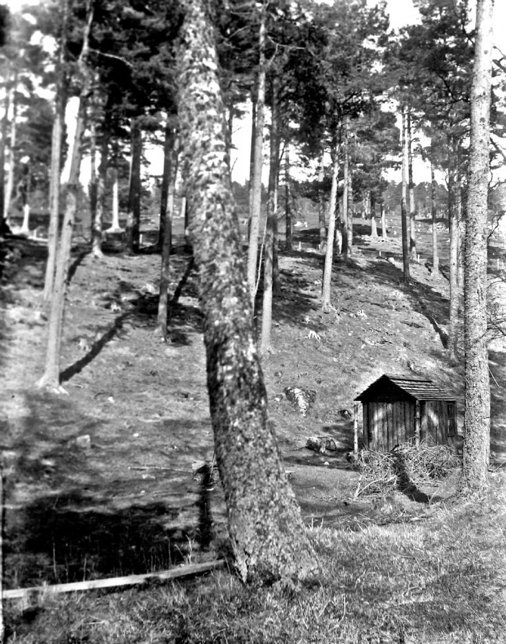 60 Children's Play Hut at Castle Newe c1910
