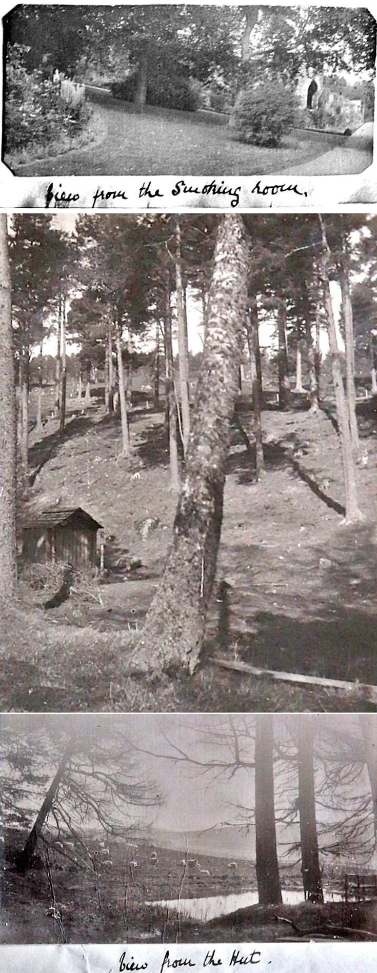 8 Castle Newe c 1910