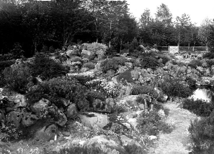 73 Castle Newe garden c 1910
