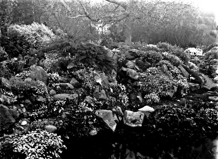 73 Castle Newe garden c 1910