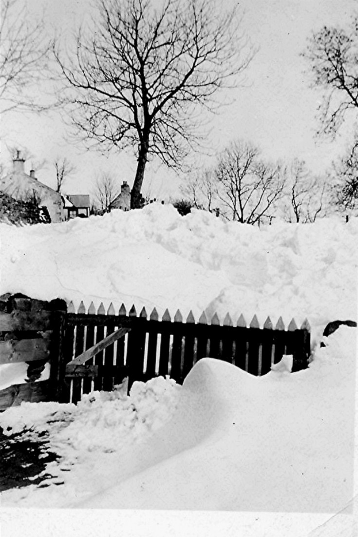 49 Snowdrifts