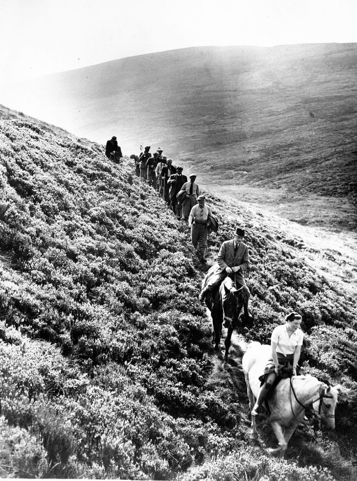 69 Horses on the hill