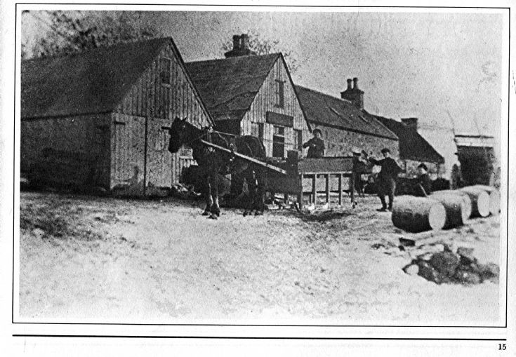 17 Sunnybrae farm