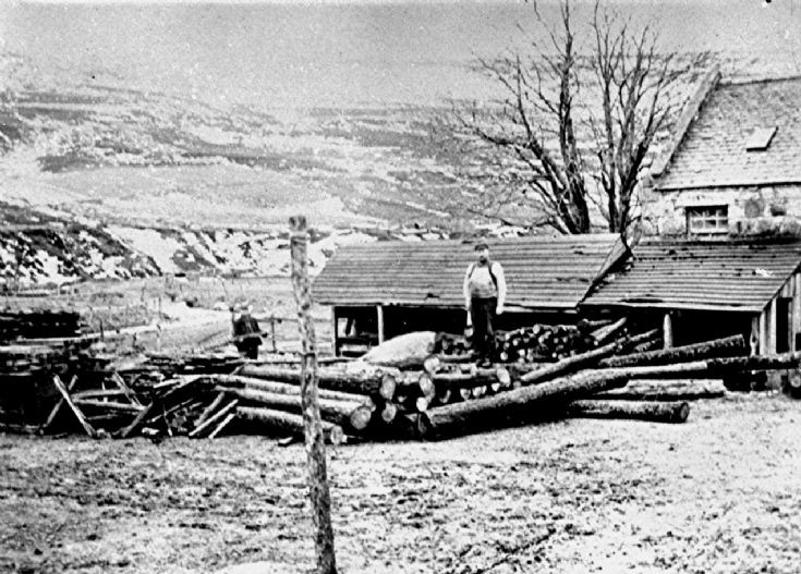 75 Timber workers