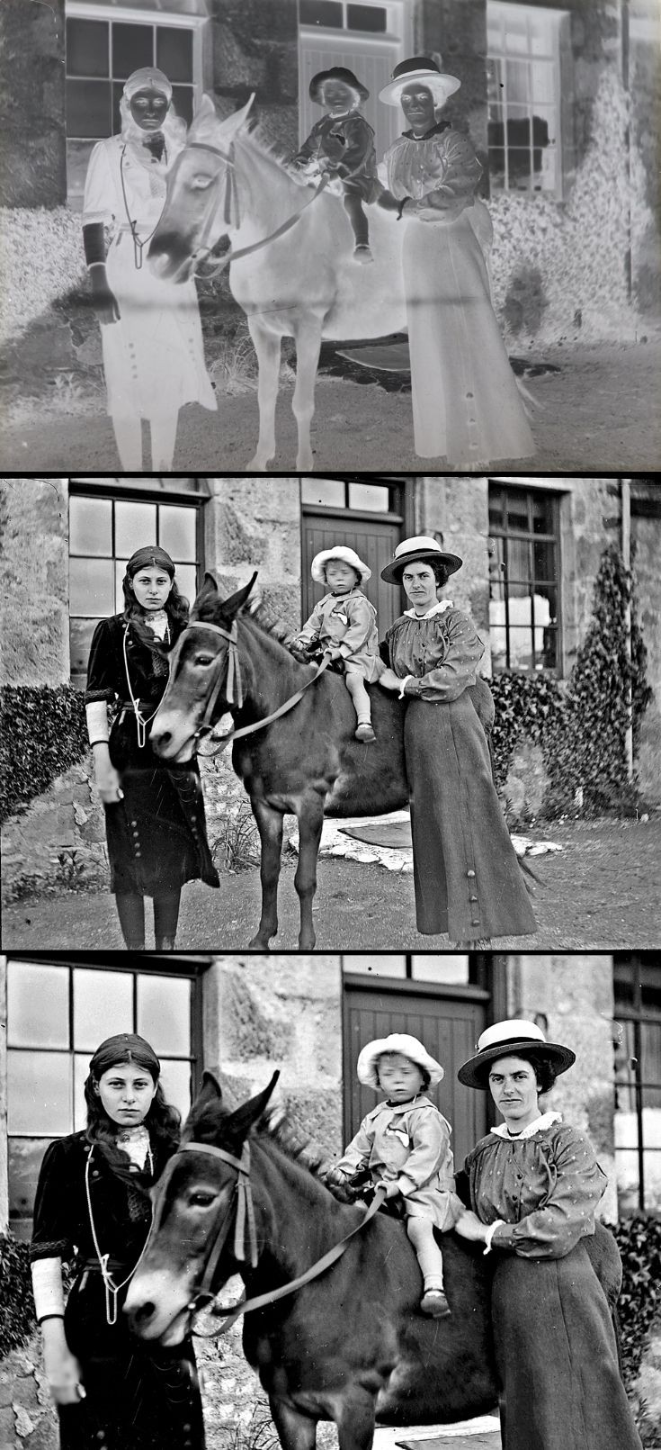 18 Family with Mule