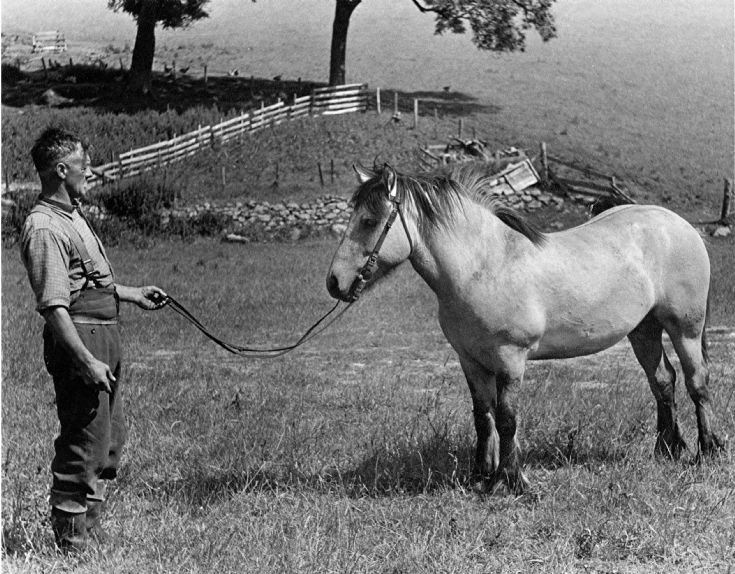 103 Rita's Dad and pony