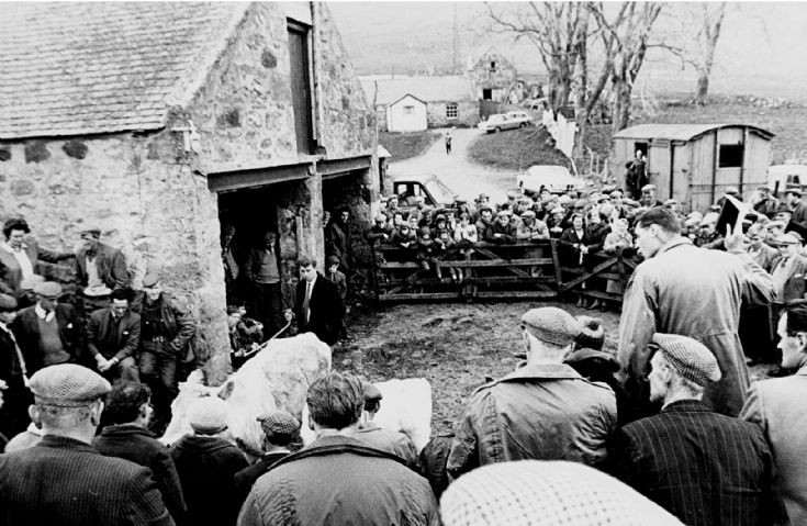 108 Netherton Roup