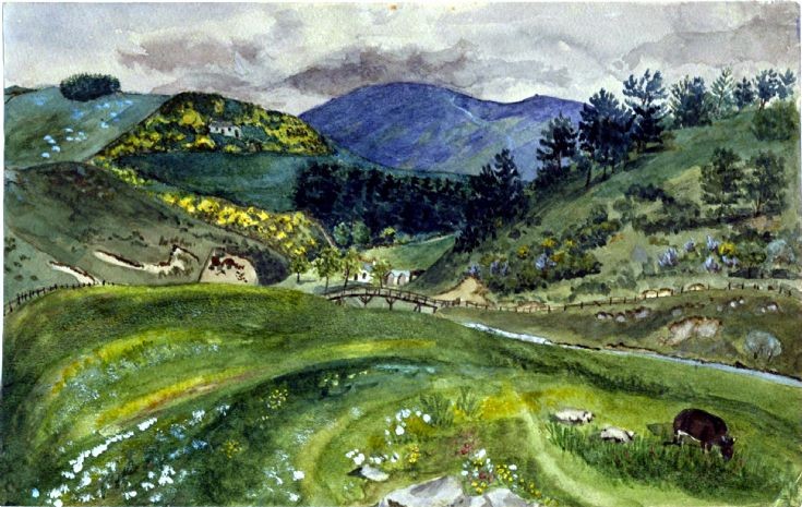 121 From Buchaam, Strathdon looking north
