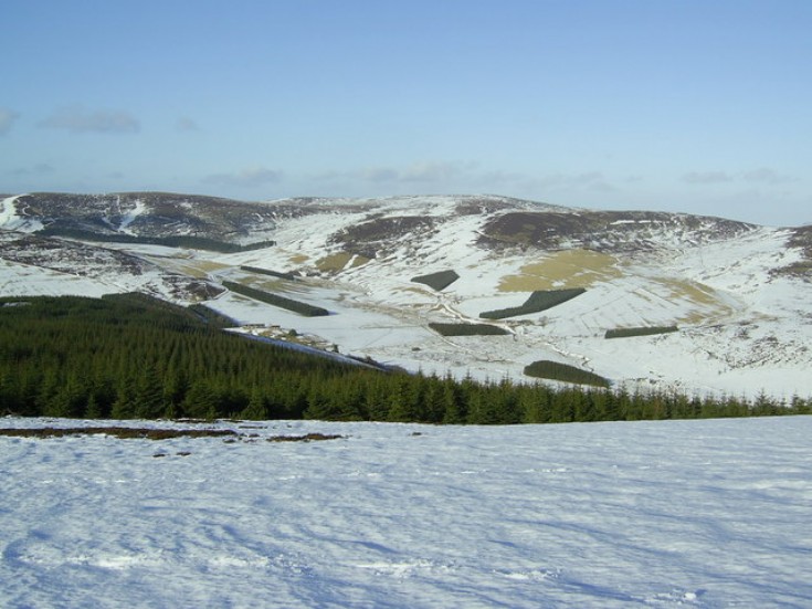 6 Ryntaing – Upper Glenbuchat
