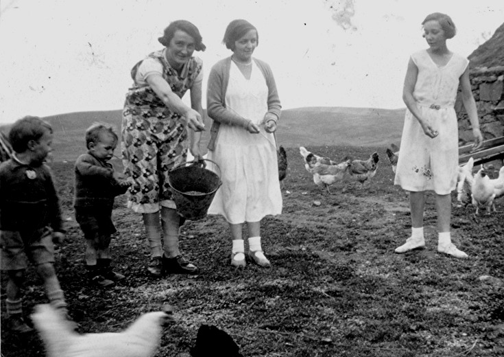 22 Feeding Hens