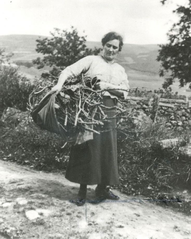 9 Collecting Fire wood