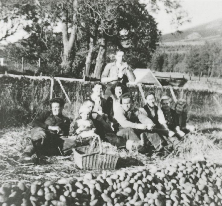 12 Picnic at Potato Harvest