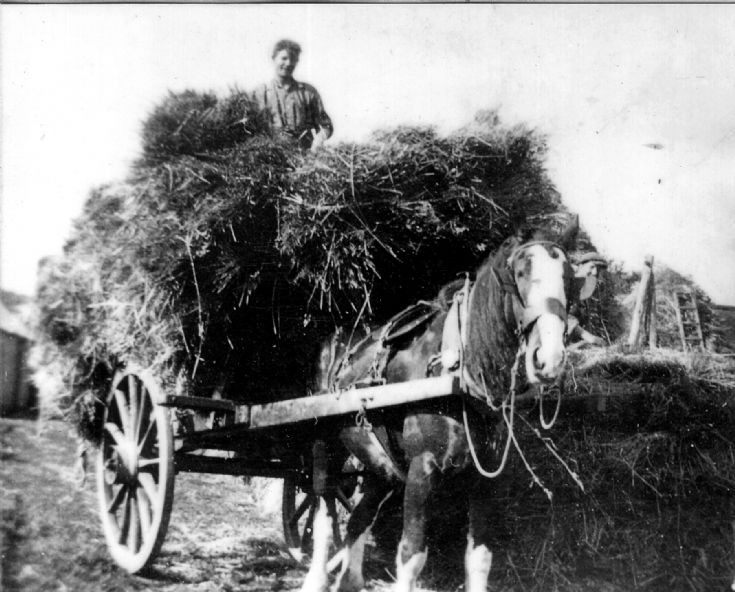 21 Haymaking