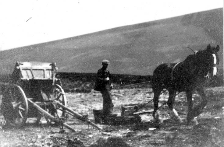 22 Off to collect peats?