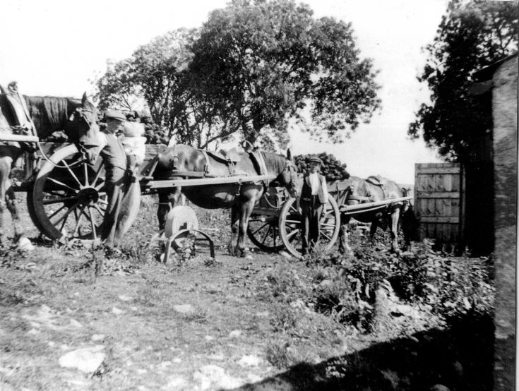25 Sunnybrae Delivering Peats
