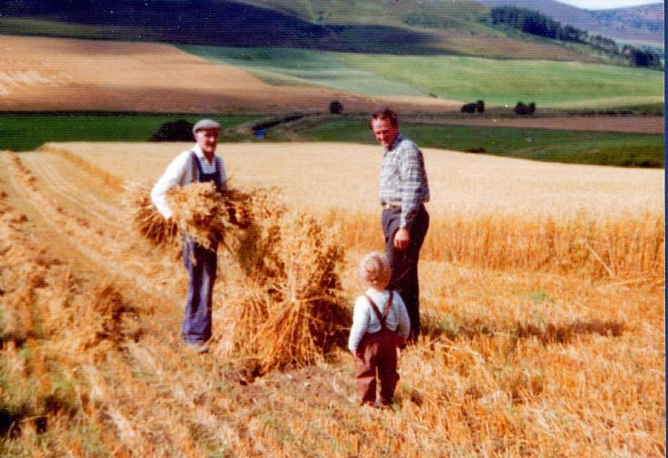 61 Harvest