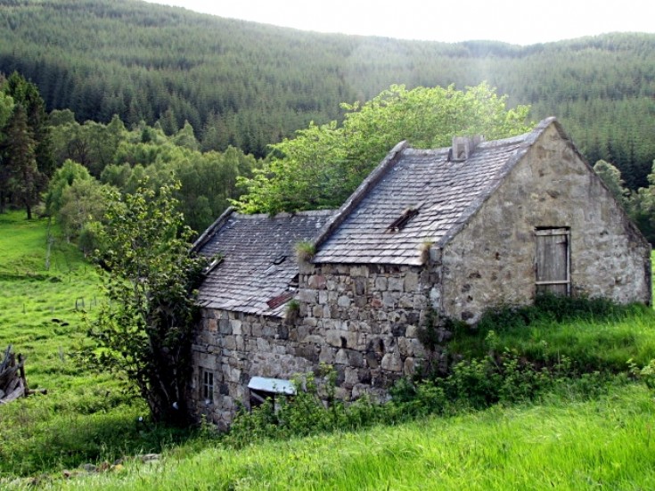 11 The Old Mill