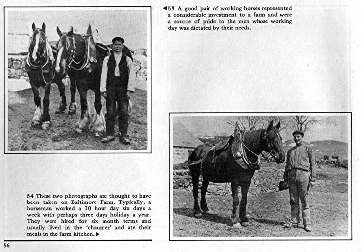 54 Baltimore Farm Workers