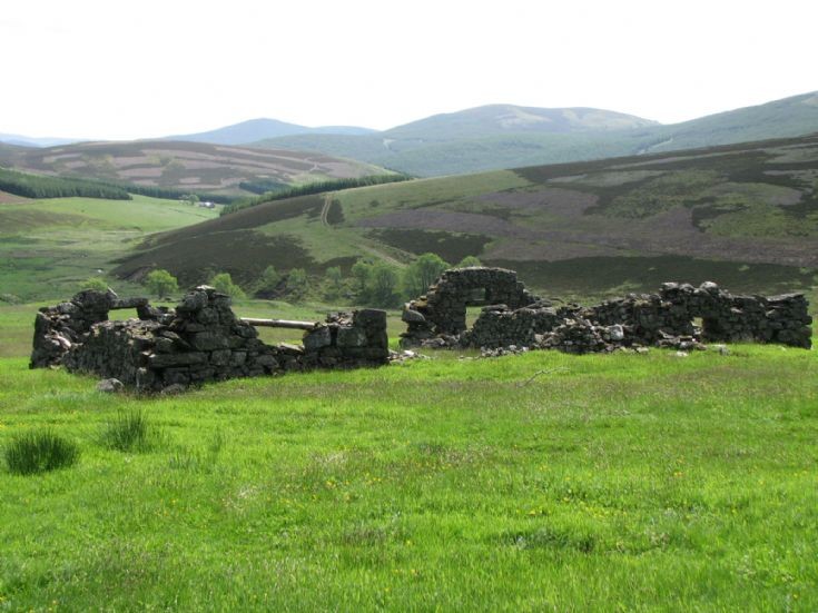 22 Ryntaing, ruined sheephouses above Farm