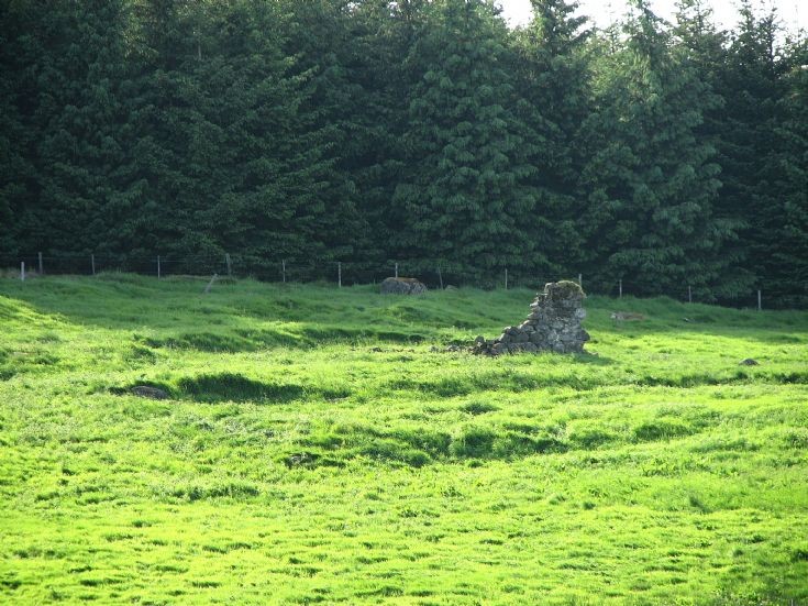 56 Tarntoul Croft Ruins