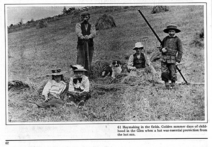60 Haymaking