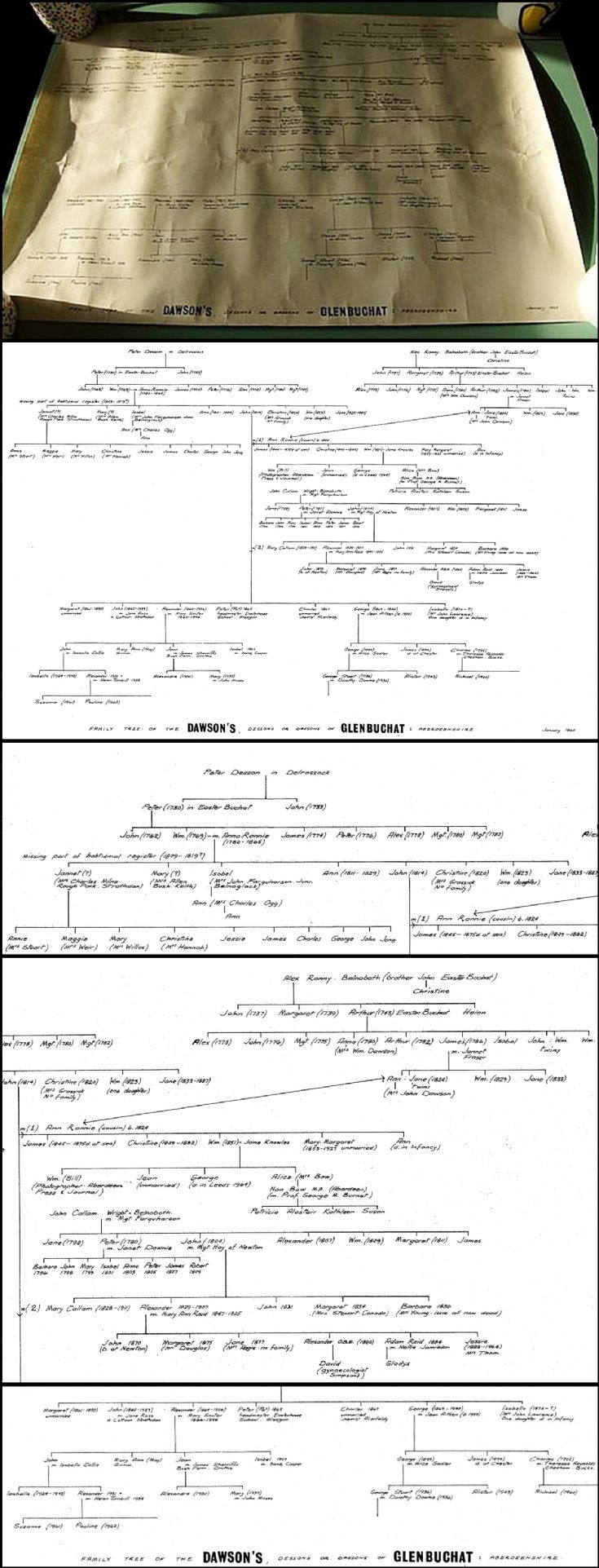 137 Dawson Calum Family Tree
