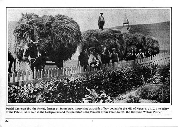 22 Haymaking Craigton