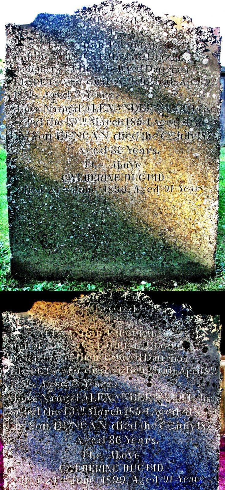 18 Grave Stone No 15 Alexander Farquharson