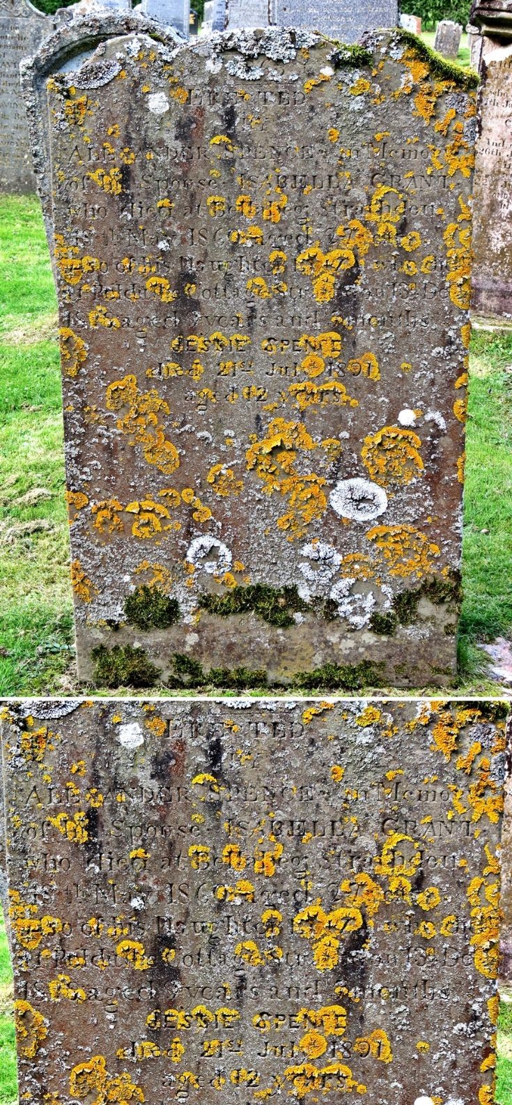 33 Grave Stone No 32 Isabella Grant