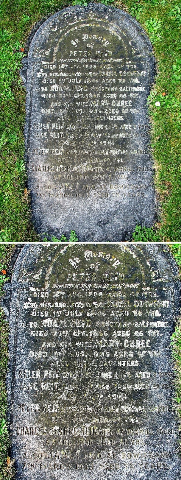42 Grave No 46 Peter Reid
