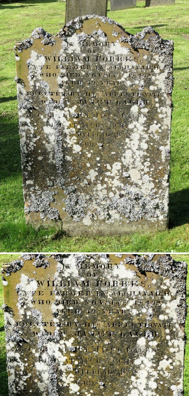 47 Grave No 53 William Forbes