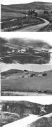 14 Shand Family Photo Collection