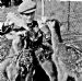 131 Feeding Deer at Upper Lodge Glenbuchat