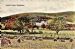 260 Castle Newe Strathdon