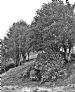 23 Lime Kiln at Ryntaing Glenbuchat c 1980